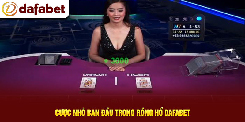 Cược nhỏ ban đầu trong Rồng Hổ Dafabet